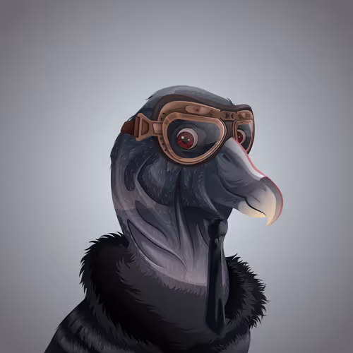 #5991 Condor
