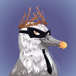 #5361 Albatross