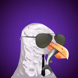#1353 Seagull