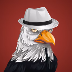 #606 Bald Eagle