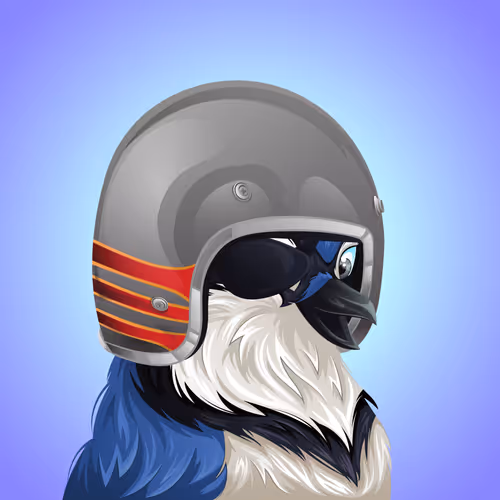 #1012 Bluejay