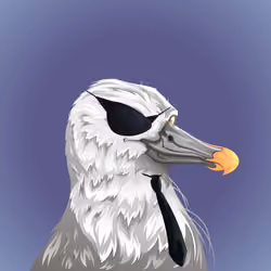 #5237 Albatross