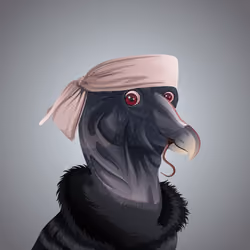 #2418 Condor