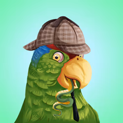 #3554 Parrot