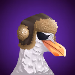 #1006 Seagull