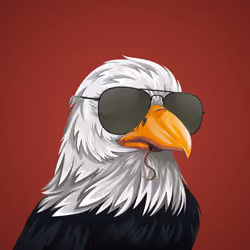 #1138 Bald Eagle