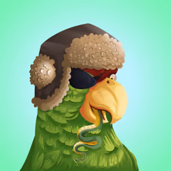 #2322 Parrot