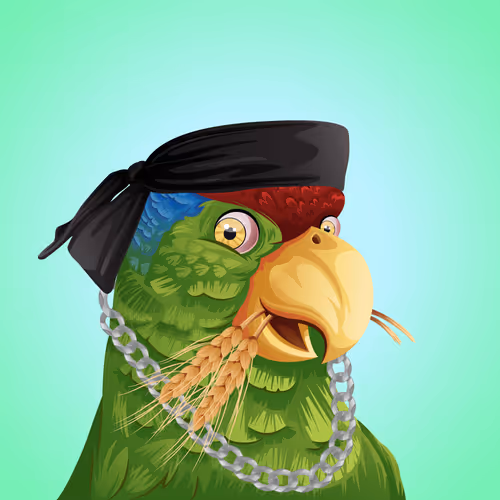 The Birdhouse Official