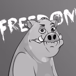 #1171 Mr. Boris Pigly
