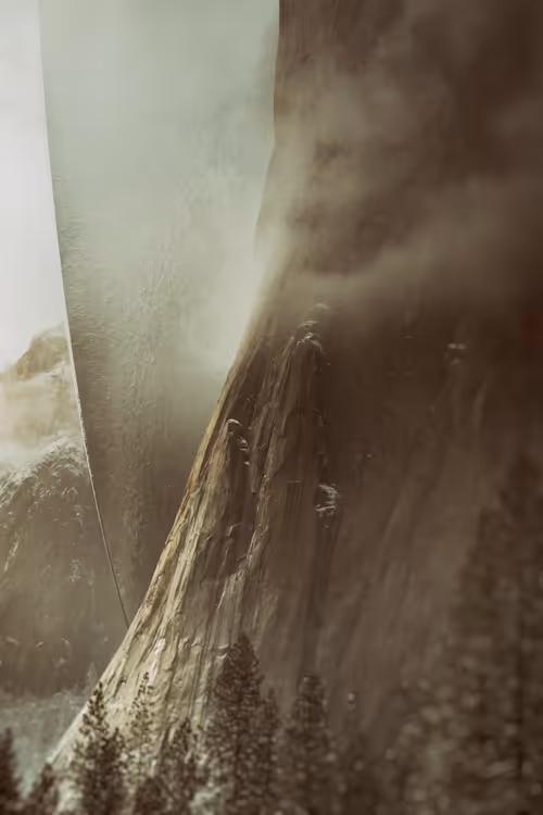 Item #133000100019 Media