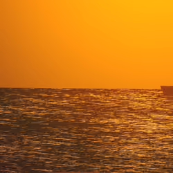 Orange Ocean