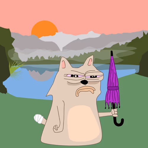 Catshitcrazy