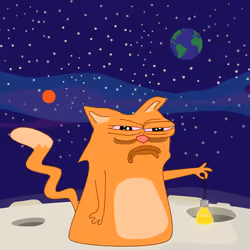 cat #718