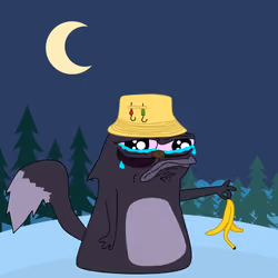 cat #2235