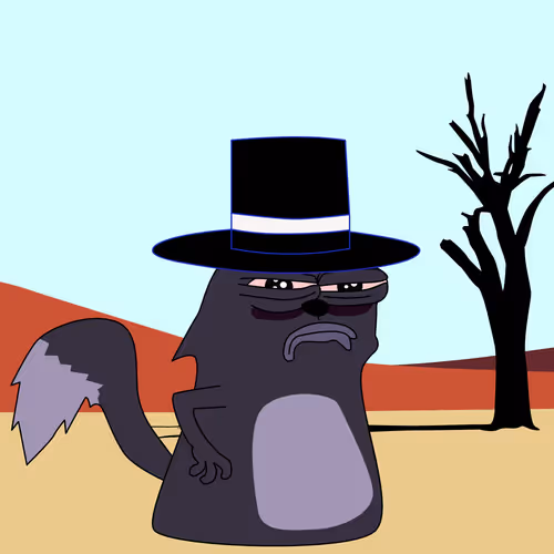 cat #62