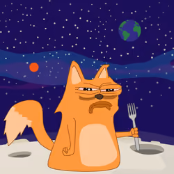 cat #1684