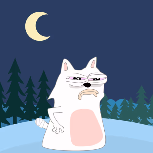 Catshitcrazy