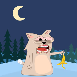 cat #5841