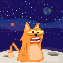 cat #4932