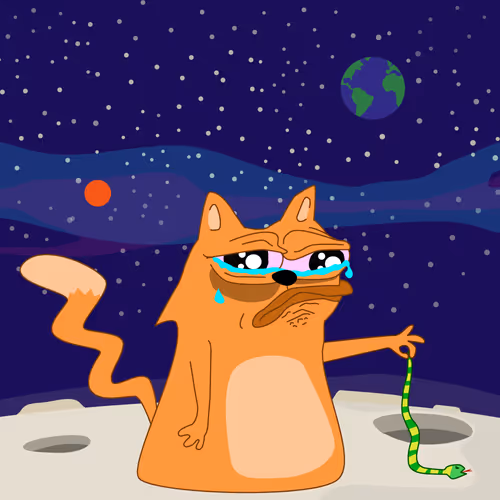 Catshitcrazy