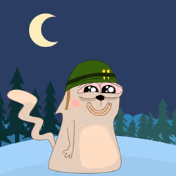 cat #208