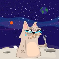 cat #2042