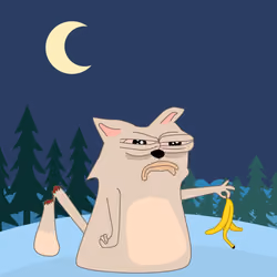 cat #3703