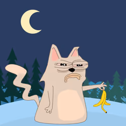 cat #6173