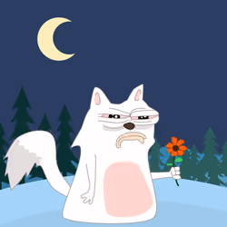 cat #373