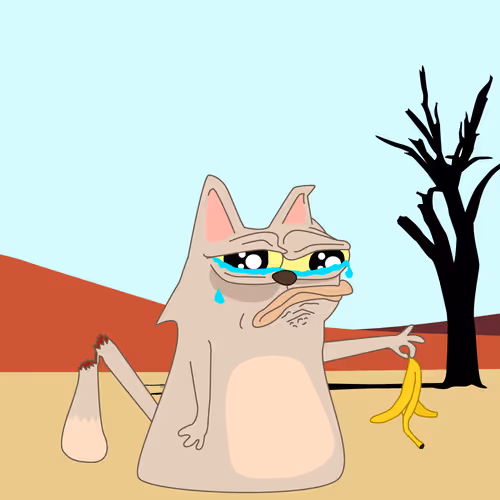 Catshitcrazy