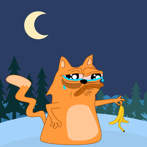 Catshitcrazy