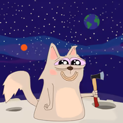 cat #2923