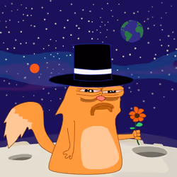 cat #7051