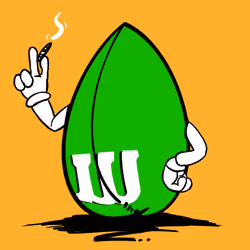 CBZ Seeds