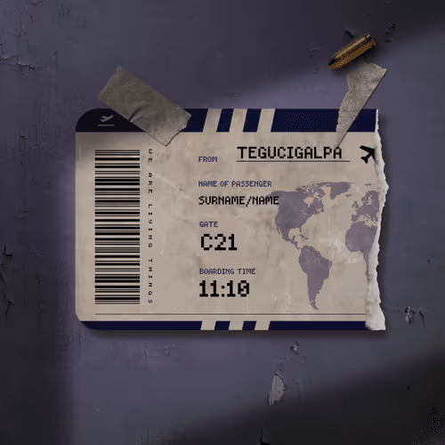 Item #788 Media