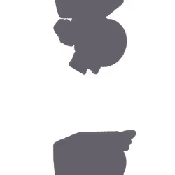 81