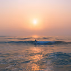 Ocean Ablaze #2/25