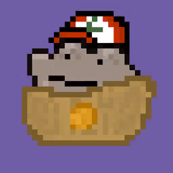 Pixxo #1808