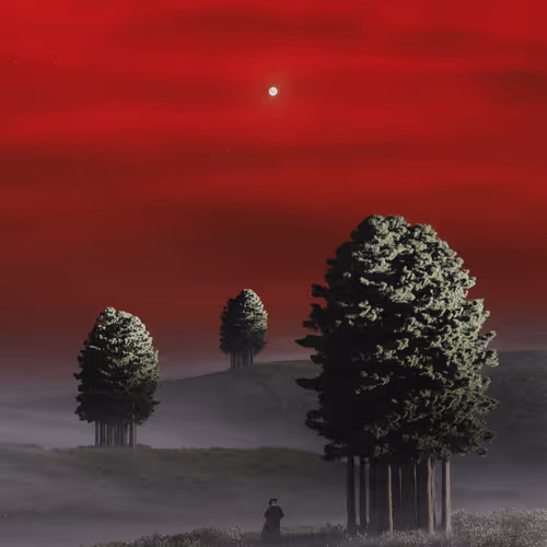 A Letter To The Night