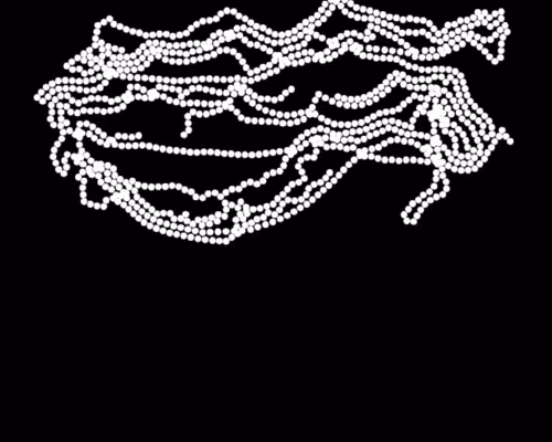 Item #1331288692 Media