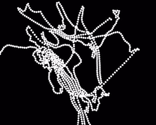 Item #2250530012 Media