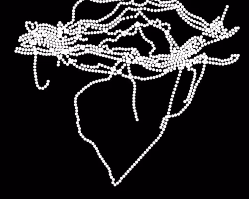 Item #4076432014 Media