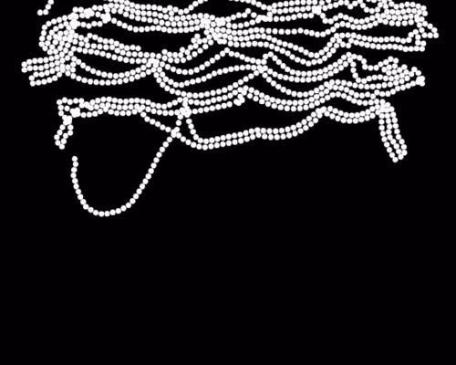 Item #3494420498 Media