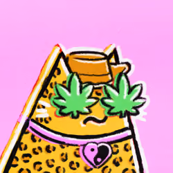 Pop Cat #7325