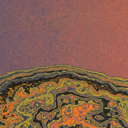 corrosive effects #40