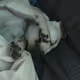 Sleeping PUPS