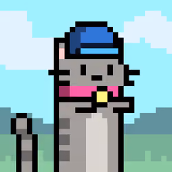 #704