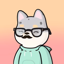 Shibe #1653