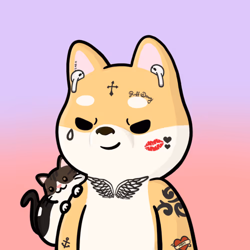 Shibe #5516