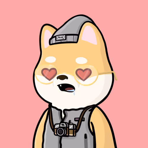 Shibe #3341